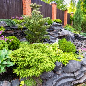 Image Of Landscaping